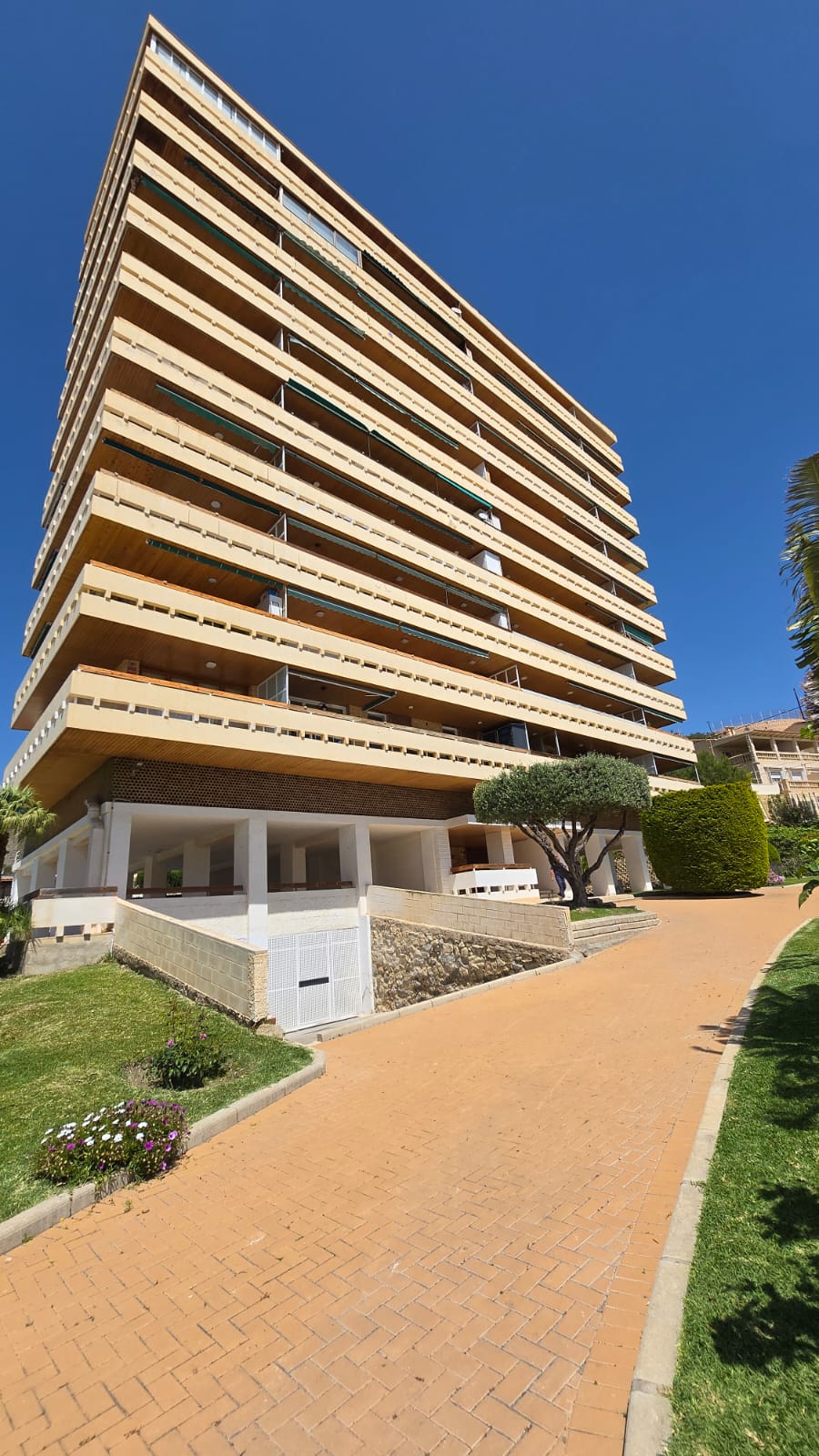 Interior view of the apartment in Alicante 3